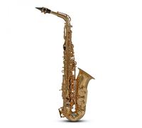Roy Benson AS202 Alto Saxophone Gold