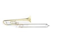 Roy Benson TT220 Bb/C Trombone for Children