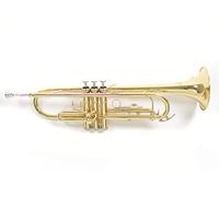 Roy Benson TR101 Bb Trumpet Lacquer