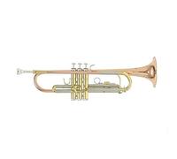 Roy Benson Bb Trompete MOD.TR-202G goldmessing lackiert, inkl. Etui
