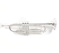Roy Benson TR-202S Bb Trumpet