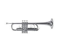 Roy Benson C-Trompete MOD.TR-402CS + 1 Satz Bb Züge versilbert, inkl. Etui