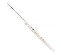 Roy Benson FL402E Flute
