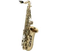 Roy Benson AS201 Alto Saxophone for Children
