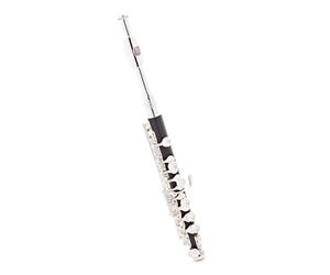 Roy Benson PC502 Piccolo