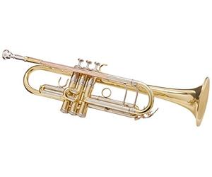 Roy Benson Pro Series Trompette en Sib TR-402 laiton verni