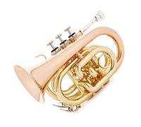 Roy Benson PT101G Pocket Trumpet Gold Brass Bell