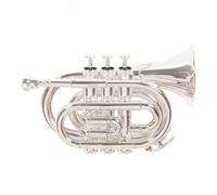Roy Benson PT101S Pocket Trumpet Silver