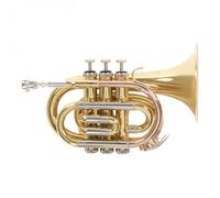 Roy Benson PT302 Pocket Trumpet