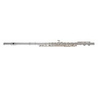 Roy Benson FL402E2 Flute
