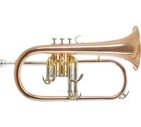 Roy Benson RB FH-302G Flugel Horn