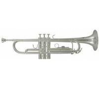 Roy Benson Student Trumpet in Silver-Series TR 202S