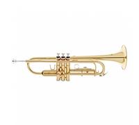 Roy Benson TR101 Trumpet Lacquer