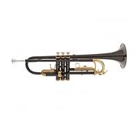 Roy Benson TR101K Trumpet Black and Gold
