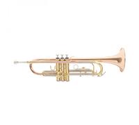 Roy Benson TR202 Trumpet Gold Brass Bell