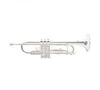 Roy Benson TR202S Trumpet Silver Plated