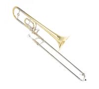 Roy Benson TT220 Bb/C Trombone for Children