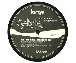 Roy Davis Jr - Gabriel [Vinyl LP] [VINYL]