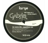 Roy Davis Jr Gabriel (Vinyl) (US IMPORT)