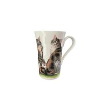 Roy Kirkham - Fluted Mug - Tabby and White