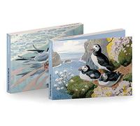Royal Academy Charles Tunnicliffe Puffins and Terns Set of 6 Art Greetings Cards (17 x 12 cm)