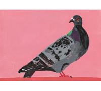 Royal Academy of Arts, Chip, Age 11, Pink Pigeon, Blank Single Greeting Card, (12x 17cm)