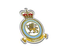 Royal Air Force Police (SK29) Military Waterproof Vinyl Stickers Decal Veteran RAF 100mm x 74mm