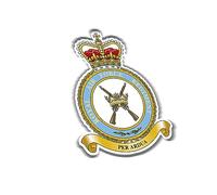 Royal Air Force Regiment (SK30) Military Waterproof Vinyl Stickers Decal Veteran RAF REGT 100mm x 74mm