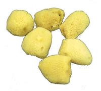 Royal and Langnickel Small Silk Sponge Set 6 Pack