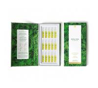 Royal Fern - Phytoactive Anti-Oxidative Ampoules - Ampoules