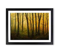 Royal Autumn Forest Framed Print | A2 Black Framed Wall Art | Ready to Hang | Modern Landscape Picture | Living Room Bedroom Lounge Office