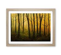 Royal Autumn Forest Framed Print | A4 Oak Framed Wall Art | Ready to Hang | Modern Landscape Picture | Living Room Bedroom Lounge Office