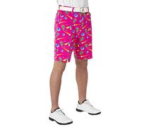 Royal & Awesome Life On Pars UFO Mens Golf Shorts, Crazy Golf Shorts