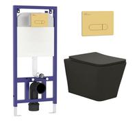 Royal Bathrooms Elena Rimless Wall Hung Toilet, Aqua Brushed Brass Wall Hung Frame Matt Black Round Pan, Slim Soft Close Seat