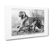 Royal Bengal Tiger By John Karst Canvas Print | Gallery Wrapped 30mm Frame Wall Art | 24x16 inches | Ready to Hang | Retro Animals Picture | Living Room Bedroom Lounge Office