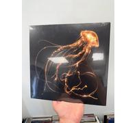 Royal Blood - Back To The Water Below (Amazon Exclusive Gold Vinyl) [VINYL]