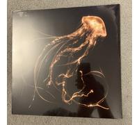 Royal Blood – Back to the Water Below – Amazon Exclusive Gold Vinyl (Warner Music)