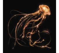 Royal Blood - Back To The Water Below (Indie Retail Exclusive) [VINYL]