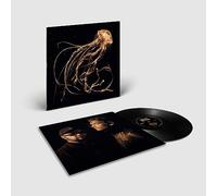 Royal Blood, Neues Album 2023, Back to the Water Below