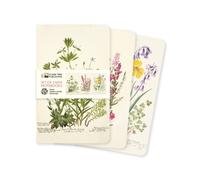 Royal Botanic Garden Edinburgh Set of 3 Mini Notebooks