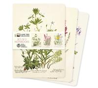 Royal Botanic Gardens Edinburgh Set of 3 Standard Notebooks