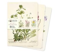 Royal Botanic Gardens Edinburgh Set of 3 Standard Notebooks (Standard Notebook Collection)