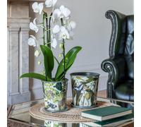 Royal Botanic Gardens Kew Kew Botanical Retreat Planter With Saucer 14Cm | Metal | Detachable Saucer | Perfect For Gifting ✨ in Green Royal Botanic Gardens Kew Green