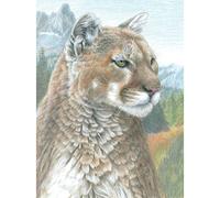 Royal Brush Color Pencil By Number Kit 8.75"X11.75"-Cougar