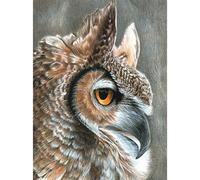 Royal Brush Color Pencil by Number Kit, Karton, Multi-Colour, 1