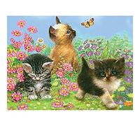 Royal Brush Color Pencil by Number Kit CPN14 – Multi-Colour 8.75 x 11.75 in