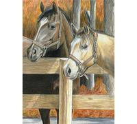 Royal Brush CPN16 Pencil by Number Kit, Multi-Colour, 8.75 x 11.75-Inch