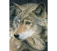 Royal Brush CPN18 Pencil by Number Kit, Multi-Colour, 8.75 x 11.75-Inch