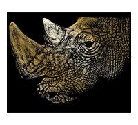 Royal Brush Gold Foil Engraving Art Kit 8"X10"-The Myth Maker