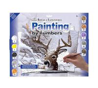 Royal Brush Junior Large Paint By Number Kit 15.25-inch x 11.25-inchDancing Snow, Other, Multicoloured